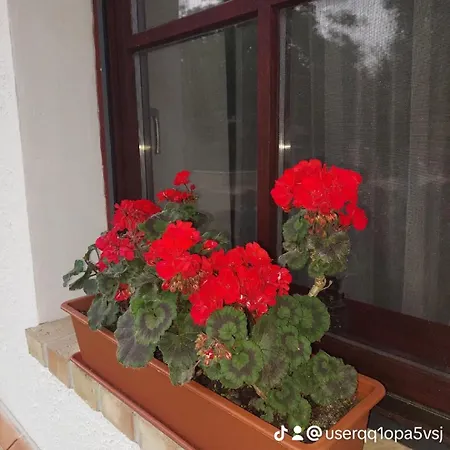 Lejlighed Villanegra Vendeghaz