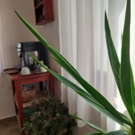 Villanegra Vendeghaz